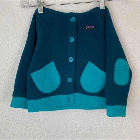 Patagonia Other - Patagonia 2T Fleece With Hood